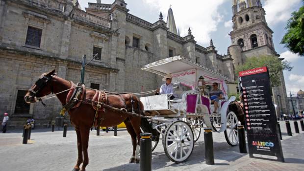Gobierno de Guadalajara se opone a que Calandrias sean consideradas patrimonio cultural de Jalisco. Noticias en tiempo real