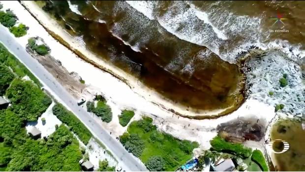 Sargazo en playas del Caribe mexicano duplican tamaño de la CDMX: NASA. Noticias en tiempo real