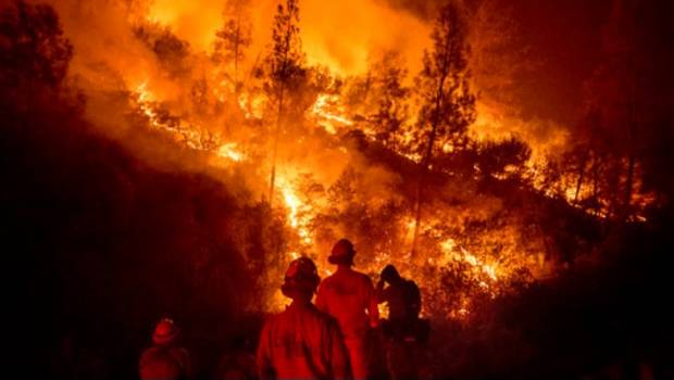 18 incendios forestales simultáneos se reportan en California. Noticias en tiempo real
