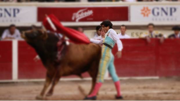 Morena propone consulta ciudadana para regreso de corridas de toros en Coahuila. Noticias en tiempo real