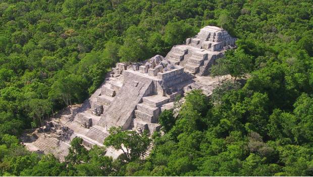 Empresas de Asia y Europa han mostrado interés en el Tren Maya. Noticias en tiempo real