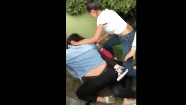 "Discúlpate, pendeja": Difunden video de golpiza a estudiante en Coyoacán. Noticias en tiempo real
