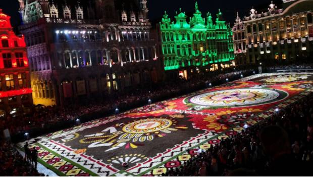 Bruselas coloca enorme alfombra floral mexicana en su plaza principal. Noticias en tiempo real