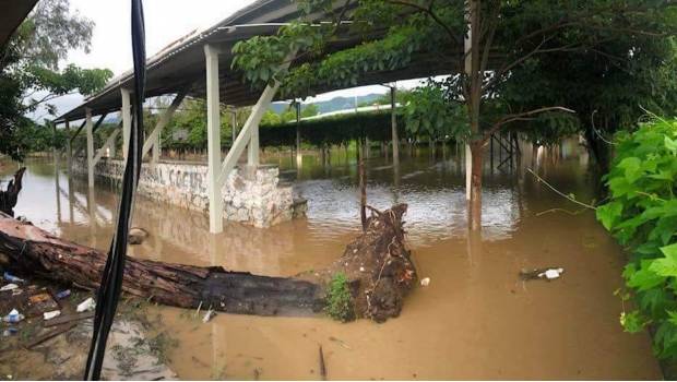 Desbordamiento de río en Cocula inunda más de 50 viviendas. Noticias en tiempo real