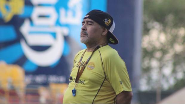 Jugador de Dorados confiesa que casi no entrena por ver a Maradona. Noticias en tiempo real