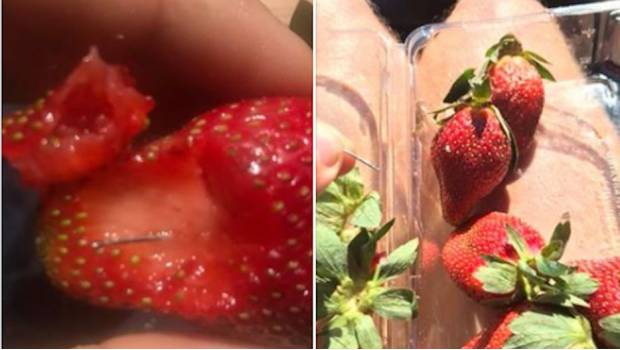 Alguien está escondiendo agujas dentro de fresas comestibles. Noticias en tiempo real