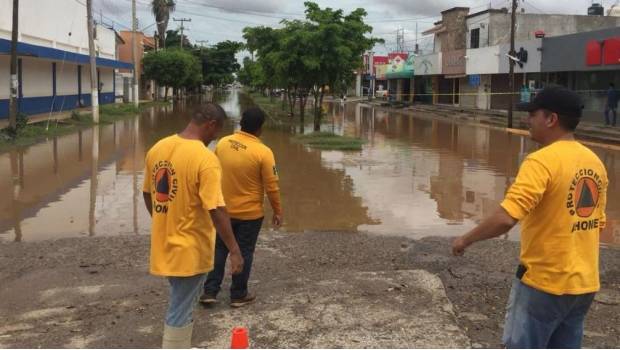 Tatiana Clouthier pide a Peña Nieto atender inundaciones en Sinaloa. Noticias en tiempo real