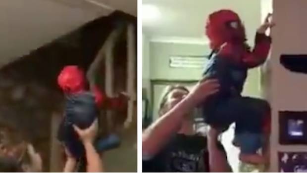 Niño Spiderman escala paredes con el apoyo de su divertido padre (VIDEO). Noticias en tiempo real