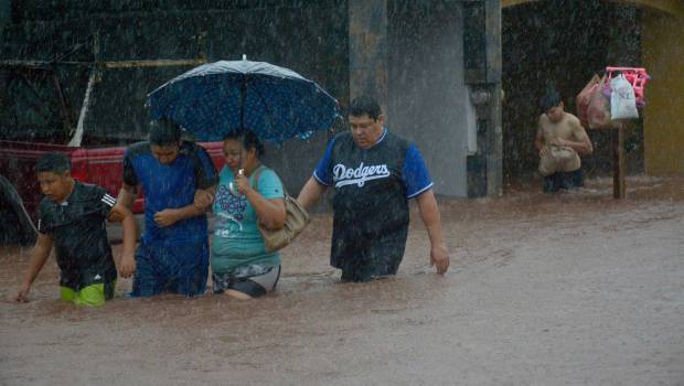 Abren centro de acopio en CDMX y otros estados para damnificados por lluvia en Sinaloa. Noticias en tiempo real