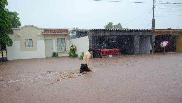 Un electrocutado y 5 desaparecidos dejan inundaciones por lluvias en Sinaloa: Quirino Ordaz. Noticias en tiempo real