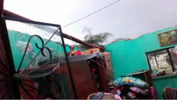 Tornado provoca severos daños en casas y cosechas de comunidad en Hidalgo. Noticias en tiempo real