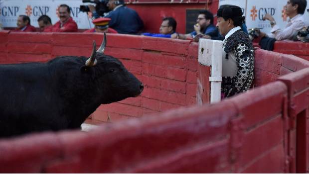 Va PVEM por prohibición de corridas de toros en CDMX. Noticias en tiempo real
