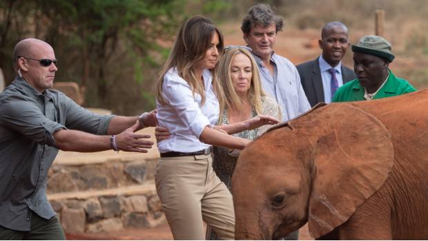 Melania Trump se lleva breve susto por empujón de elefante bebé Melania Trump se lleva breve susto por empujón de elefante bebé