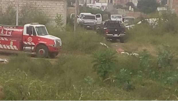 Encuentran 8 cadáveres en nueva fosa de Tonalá. Noticias en tiempo real