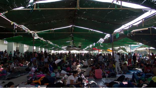 Transportistas de Oaxaca negarán servicio a caravana migrante. Noticias en tiempo real