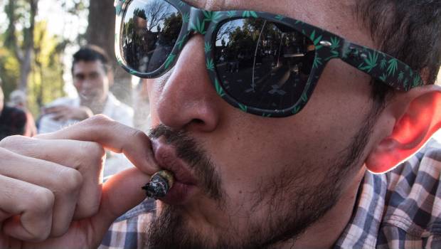 Legalizar mariguana impactaría poco en el narco, aunque policías ya no abusarían de jóvenes: Valdés. Noticias en tiempo real