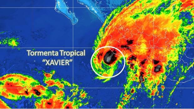 Tormenta tropical 'Xavier' causará tormentas en estados del Pacífico. Noticias en tiempo real