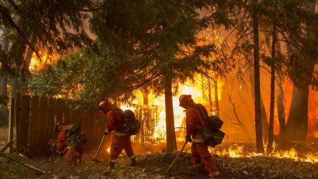 Trump culpa a California de los incendios por su "mala gestión" forestal. Noticias en tiempo real