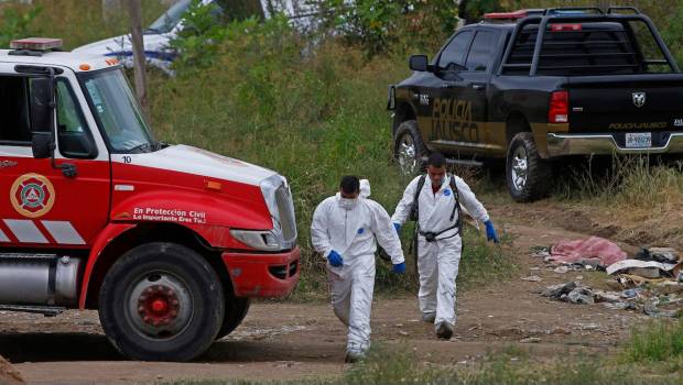 En México hallan una fosa clandestina cada 2 días, revelan. Noticias en tiempo real