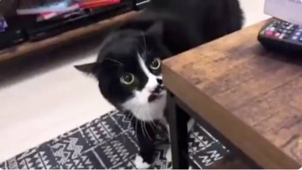 Foto: Imagen Ilustrativa / Agencias 