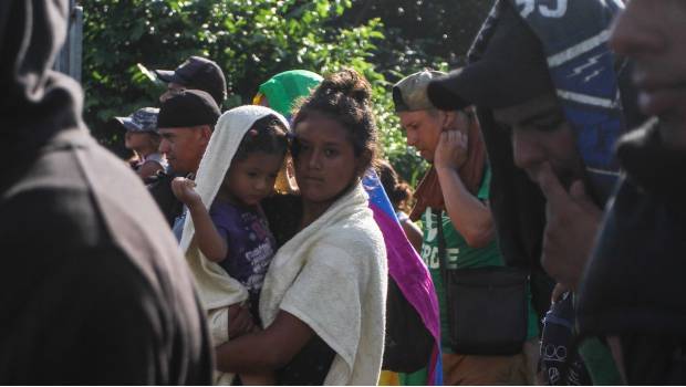 Dejaron la Ciudad de México 700 migrantes este sábado: Amieva. Noticias en tiempo real