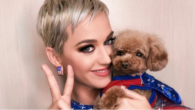 Spice Girls quieren que Katy Perry sustituya a Victoria Beckham. Noticias en tiempo real