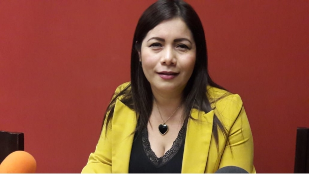Diputada de Morena en Sinaloa acusa amenazas por iniciativa. Noticias en tiempo real