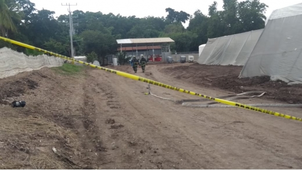 Mueren por intoxicación 3 jornaleros en campo agrícola de Culiacán. Noticias en tiempo real