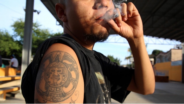 SCJN obligará a jueces a otorgar amparos para consumo personal de mariguana. Noticias en tiempo real