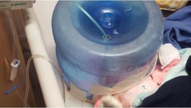 Hospital usa garrafón de agua como incubadora en Sonora; gobernadora despide a directora. Noticias en tiempo real