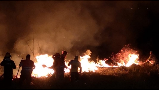 Reportan controlado en un 85% incendio forestal en Xochimilco. Noticias en tiempo real