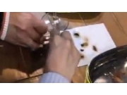 Insectos restaurantes China
