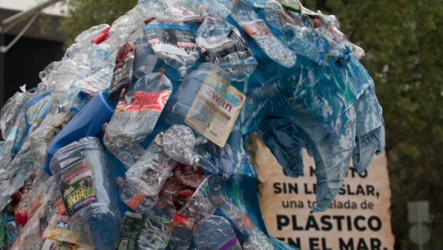 Contaminación por plásticos: Trabaja Senado en ley para solucionar el problema. Noticias en tiempo real