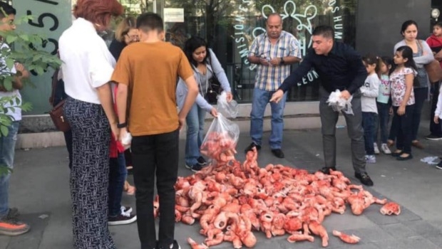Monterrey: Protestan contra aborto con bebés de plástico. Noticias en tiempo real