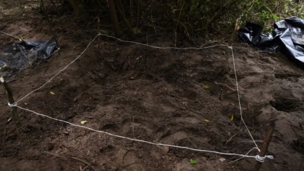 Suman 21 el número de cuerpos hallados en fosa clandestina de Xalisco, Nayarit. Noticias en tiempo real