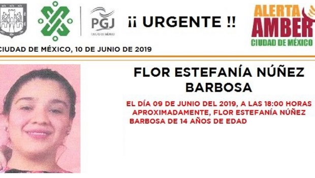 Ayuda: Activan Alerta Amber por desaparición de Flor; fue vista por última vez en la frontera con Ecatepec. Noticias en tiempo real