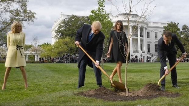 Muere árbol que sembraron Trump y Macron como símbolo de su amistad. Noticias en tiempo real