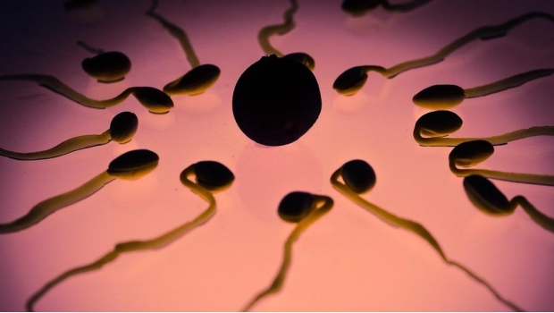 Semen, imagen ilustrativa de espermatozoides. 