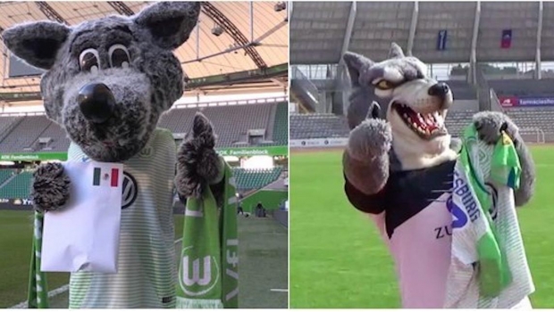 'Lobo-hermanos' del Wolfsburg mandan mensaje de apoyo para Lobos BUAP. Noticias en tiempo real