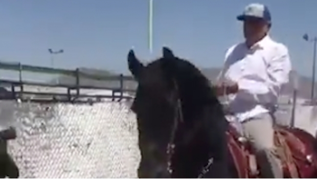 VIDEO: AMLO se convierte en jinete y monta a Sansón durante gira en Chihuahua. Noticias en tiempo real