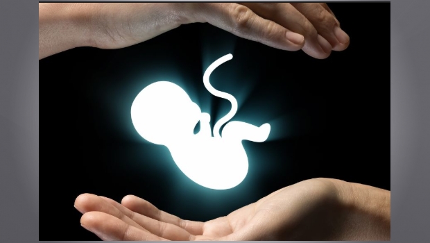 ¿Aguascalientes pro vida o pro aborto?. Noticias en tiempo real